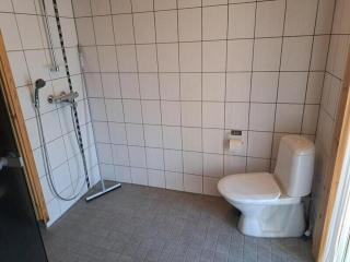 Koivikko - 7