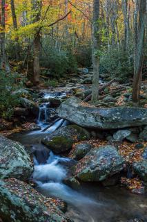 Smokies Getaway Special! Hot Tub, Games, Views & just 4 miles to Pigeon Forge! - 3
