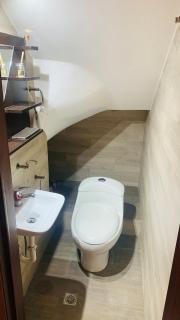 The Bosque San Diego Homestay Cuenca - 3