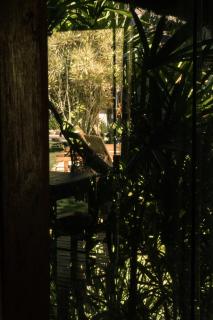 Villa Cozy - 9