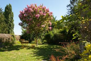 Le Colombier - Chambre Mésange - 5