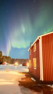Cozy Family Villa for aurora lovers - 6