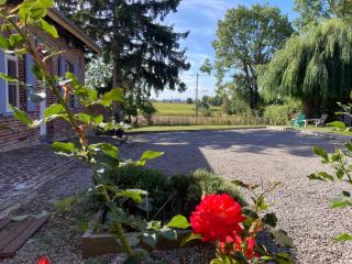Au coin du loup - 9
