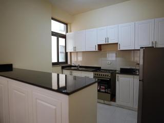 Serene & Chic Apartment next to UNECA - 1