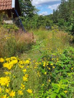 JON692 Skillingaryd - Hallefors 3 - 1