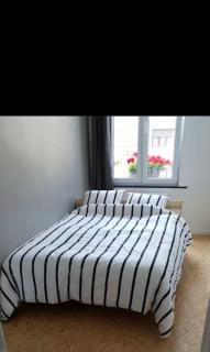 Bel appartement au centre de Bruxelles - 4