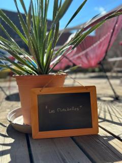 Les Mirabelles - 9