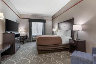 Best Western Limestone Inn and Suites - 8