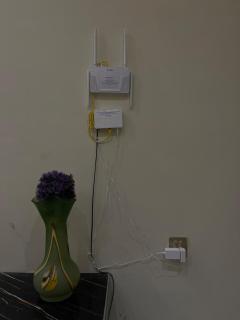 Luxury Home in Multan - 3