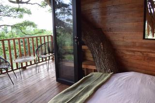 Treehouse - 4