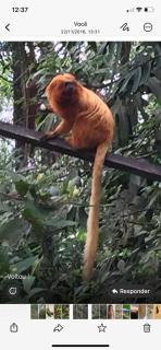 Hospedaria Alecrim - Pousada Sustentável APA - 1