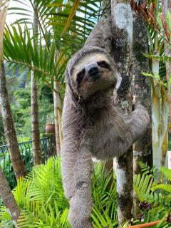 Hospedaria Alecrim - Pousada Sustentável APA - 2