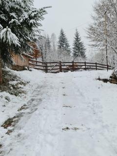 Rustic Home - 1