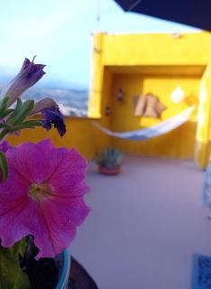 Ajman house - 8