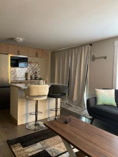 Luxury Walkout Suite - Riverview - 7