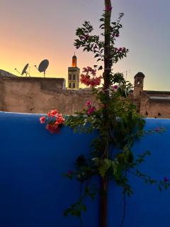 Riad La Mentha Panoramic Terrace in Fes Medina - 8