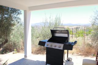 Kuxtalná en Valle de Guadalupe - 5