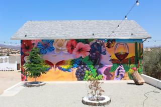 Kuxtalná en Valle de Guadalupe - 4