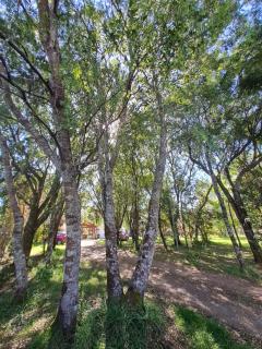 Casa de Vacaciones Naturalis Lodge - Valdivia - Valdivia - 4