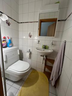 Holiday home with pool & dream view over Lake Constance - 5