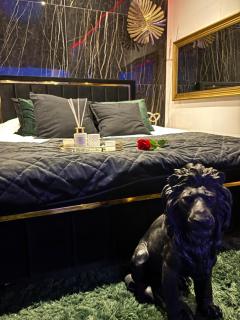 Love Room élégante spa privatif et extérieur cosy - 3