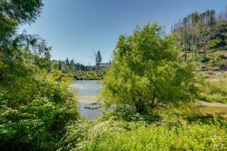 Prime McKenzie River Gem Sunroom and Views! - 7
