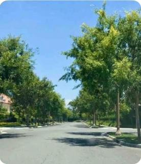 Corporate Housing, Vacation Rental in Irvine - 7
