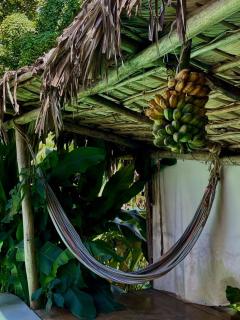 Ganesh Hostel - 6