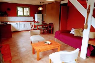 Mi Casa Tu Casa D , apto mascotas - 3