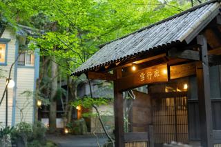 Nihon-no-Ashitaba - 7