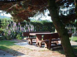 Holiday apartment in Nahrendorf with barbecue - Nahrendorf - 2