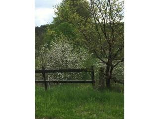 Holiday apartment in Nahrendorf with barbecue - 9