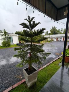 in love รีสอร์ท ผัง 3 เขาใหญ่ - 6