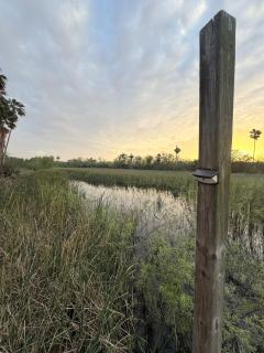 Nature's Retreat- A Bird Watchers Dream Location - San Benito - 4