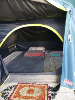 SeaSide Coral Coast BACKPACKERS HomeStay - 2