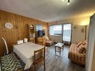 Studio 4 personnes avec balcon, proche pistes, animaux acceptés - FR-1-572-312 - 9