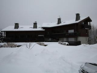 Studio 4 personnes avec balcon, proche pistes, animaux acceptés - FR-1-572-312 - 2