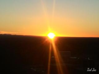 Desert Gardens Oasis Camping in Lobo, TX - 6