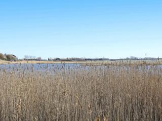 4 person holiday home in Martofte-By Traum - 8