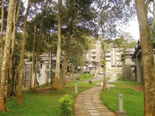 The Mountain Courtyard Thekkady - Thekkady - 6