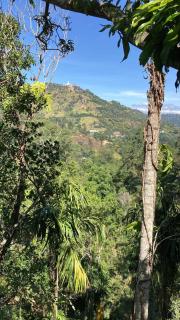 Pepper Garden Resort - 3