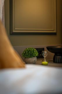 Anima Home Apartman - 1