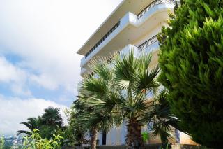 Sunshine Guesthouse Dhermi - Dhërmi - 9