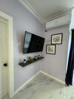 Luxury Haven- Near AC Marriott Hotel Kingston - Kingston - 4
