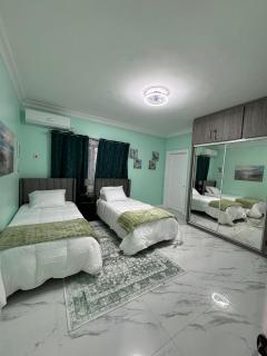 Luxury Haven- Near AC Marriott Hotel Kingston - 6