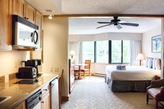 Stellar Location Direct view of Crested Butte Mountain Hot Tub Heated Pool Steam Room Gym - 5