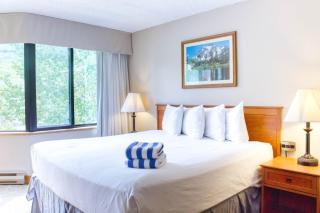 Stellar Location Direct view of Crested Butte Mountain Hot Tub Heated Pool Steam Room Gym - 1