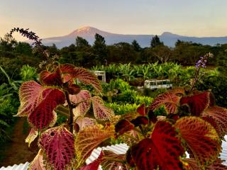 Mount Kilimanjaro 360 view Cottage - 9