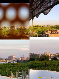 nile shores - guest house - 8