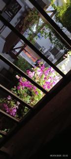 Open Space Jasmine Residence - 5